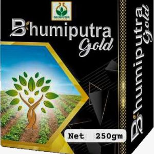Bhumiputra Gold