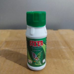 Sixer