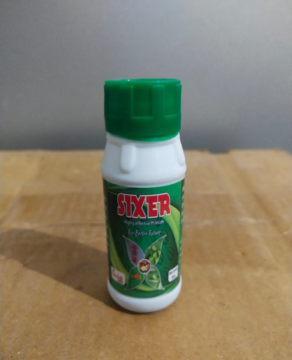 Sixer