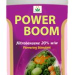 Power Boom