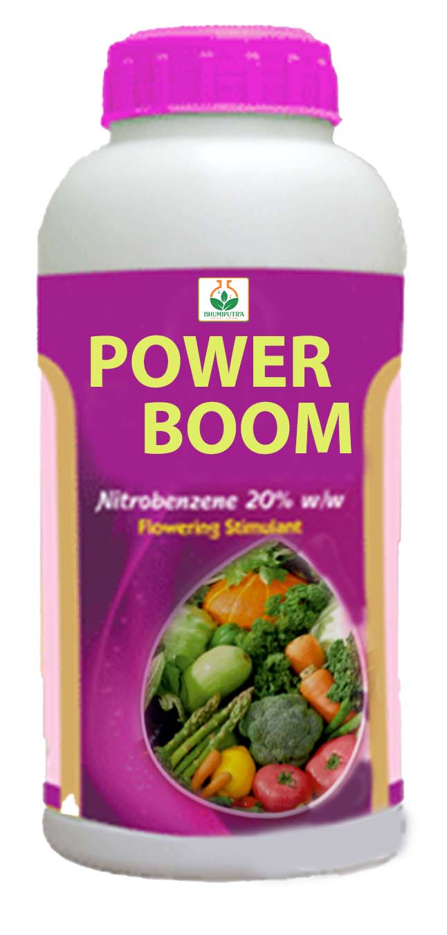 Power Boom
