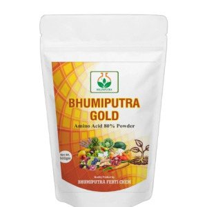 Bhumiputra Gold