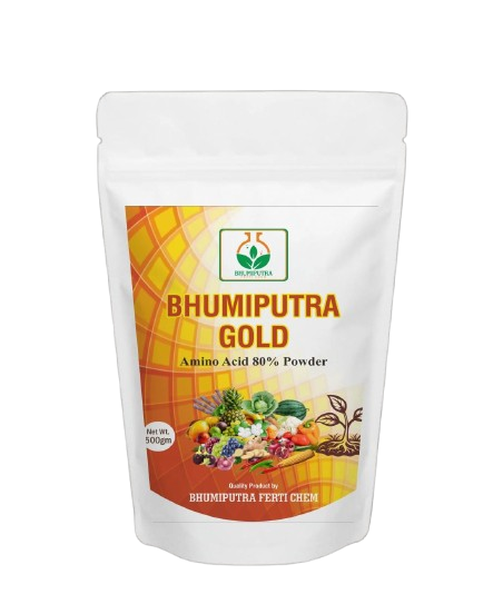 Bhumiputra Gold